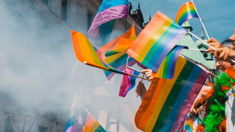 LGBTQ+ flags